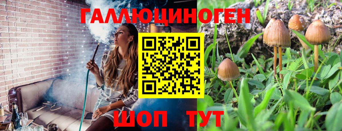 Псилоцибиновые грибы прущие грибы Саянск